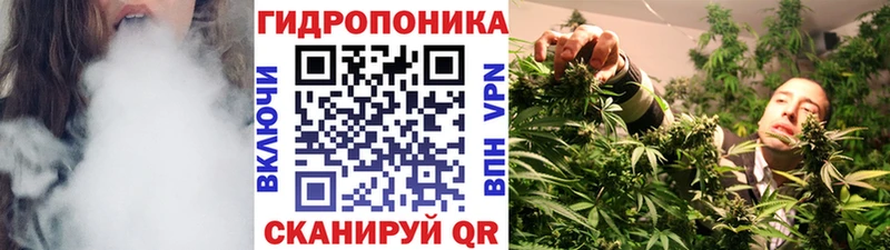 Где найти наркотики Березники Cocaine  Псилоцибиновые грибы  АМФ  Канабис  Меф мяу мяу 