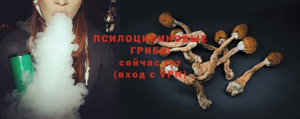 ПСИЛОЦИБИНОВЫЕ ГРИБЫ Армянск